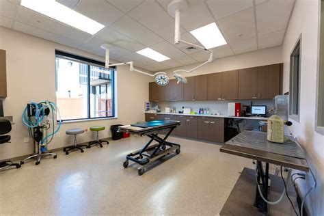 veterinary clinic muntinlupa|Top 10 Best Veterinarians Near Muntinlupa, Metro Manila .